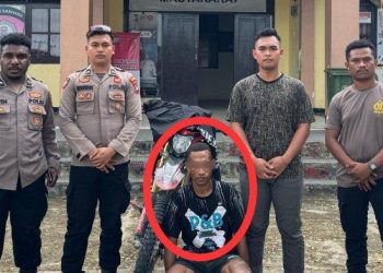 Papua Masuk 10 Besar Provinsi dengan Tingkat Kejahatan Tertinggi