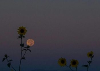 6 Fenomena Langit Bulan Agustus 2025, Planet Bergabung