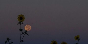 6 Fenomena Langit Bulan Agustus 2025, Planet Bergabung