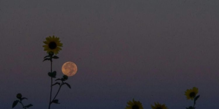 6 Fenomena Langit Bulan Agustus 2025, Planet Bergabung