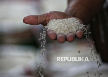 YLKI Dukung Penindakan Tegas Pelaku Kejahatan Beras