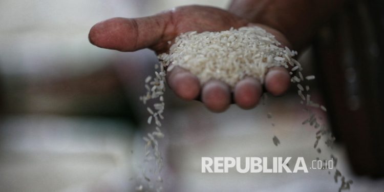 YLKI Dukung Penindakan Tegas Pelaku Kejahatan Beras