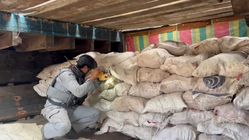 Bakamla RI Tangkap Kapal Bawang Merah Ilegal di Perairan Galang