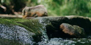 6 Negara dengan Air Terbersih Menurut Penelitian Ilmiah