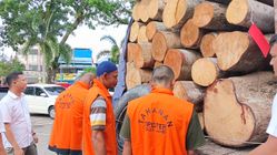 Bawa 40 Batang Kayu Jati Curian, Dua Tersangka Ditangkap, Ancaman Penjara 15 Tahun