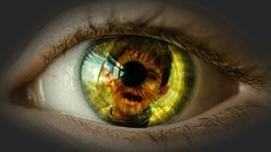 Pria di Ngawi Ditangkap Terkait Dugaan Pelecehan dengan Modus Pengobatan