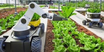 Tiongkok Percepat Pengembangan Tanaman Hibrida 400 Persen dengan Pabrik Robotik Pertama Dunia