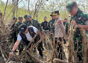 Kronologi WNI Ditembak Polisi Timor Leste, Awalnya Ingin Potong Alang-alang