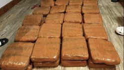 Polda Lampung Tangkap Kurir Ganja dari Sumatera Barat, 40 Kg Disita