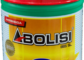 Abolisi dan Amnesti Era Prabowo: Pengampunan atau Strategi Politik?