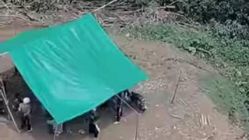 Kehilangan Wanita di Dalam Hutan Buol