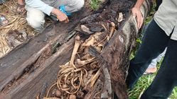 Kerangka Manusia Ditemukan di Pohon Aren, Penyebab Kematian Masih Mencurigakan