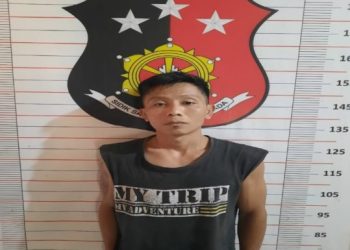 Pencuri Sawit Tertangkap Saat Beraksi