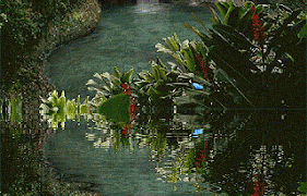 Dua Tersangka Pengedar Sabu Diamankan Satresnarkoba Aceh Tenggara