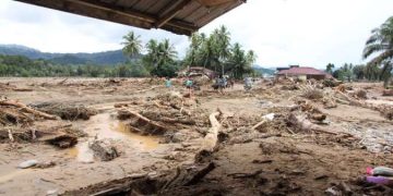 Penyelidikan Kayu Gelondongan di Sumatera: Tantangan Kehutanan Indonesia