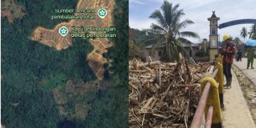 Kapolri Umumkan Tersangka Kasus Kayu Gelondongan di Batang Toru