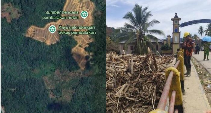 Kapolri Umumkan Tersangka Kasus Kayu Gelondongan di Batang Toru