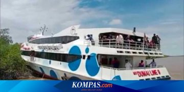 Kapten Egon Irawan Gugur Lindungi Penumpang di Hutan