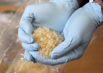 Pengedar Narkoba yang Ditangkap di Sumut Punya Dua Identitas