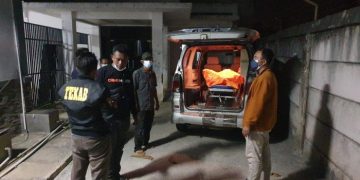 Petani Tua di Blado Batang Tewas Tersengat Tawon Gong