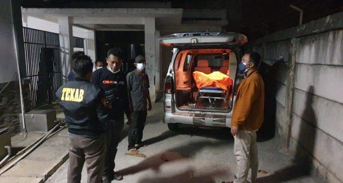 Petani Tua di Blado Batang Tewas Tersengat Tawon Gong