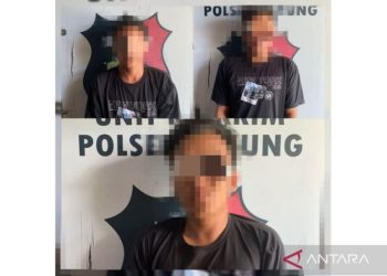 Polres Halsel Tahan 3 Pelaku Penganiayaan Kepala KUA Botang Lomang