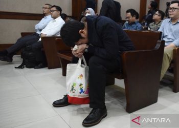 Anak Riza Chalid Divonis 15 Tahun Penjara Atas Kasus Korupsi